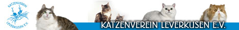 kvl-banner